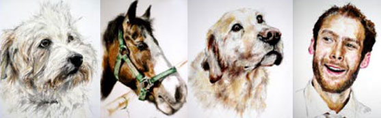paintings of pets